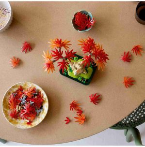 لگو IDEAS مدل بونسای افرا قرمز ژاپنی کد 10348